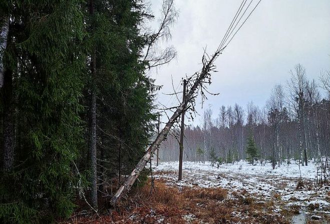 Foto - Sadales tīkls
