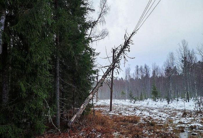 Foto - Sadales tīkls