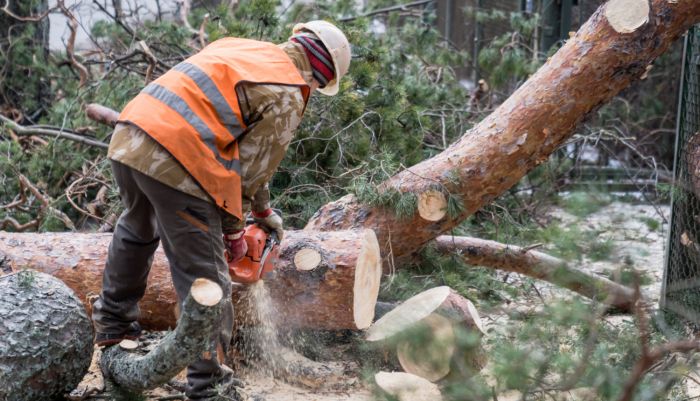 Foto - www.jurmala.lv