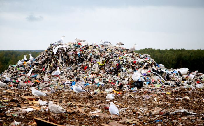 Foto - Nora Krevņeva, riga.lv