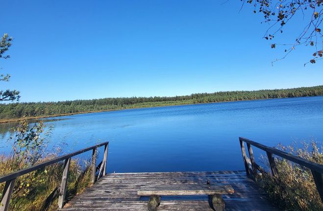 Teirumnīku purva vidū ir ezers ar tikpat zilgu nokrāsu, kāda ir debesīm virs tā. Foto – Antra Gabre