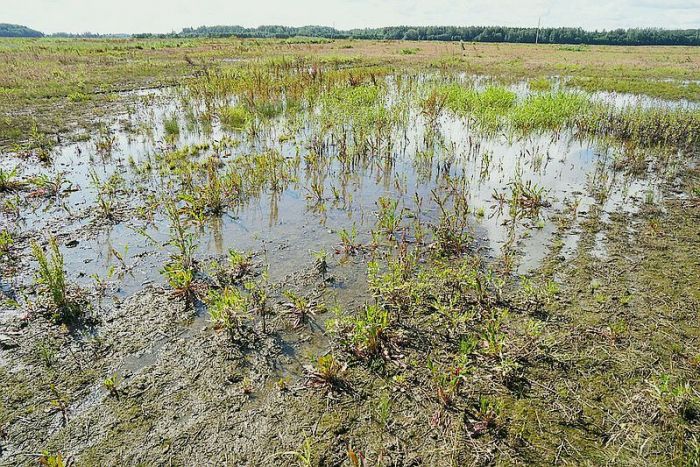 Foto - Ilmārs Znotiņš