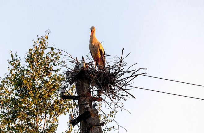 Foto - publicitātes