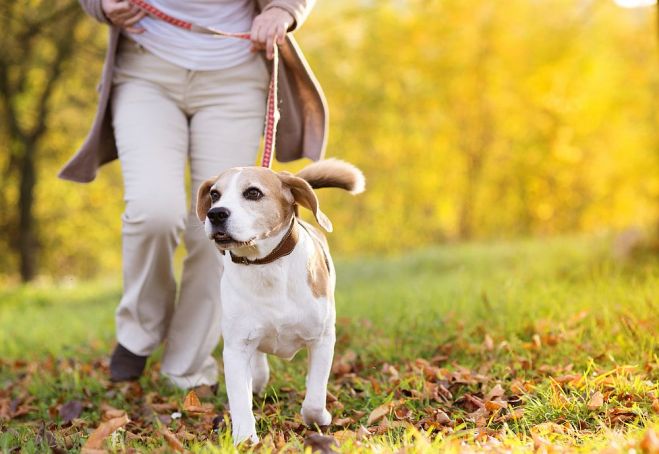 Foto - publicitātes