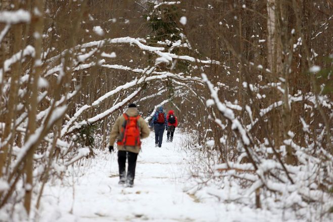 13.XII Pārgājiens "Četri ezeri – Ummis, Dzirnezers, Dūņezers un Lilastes ezers"