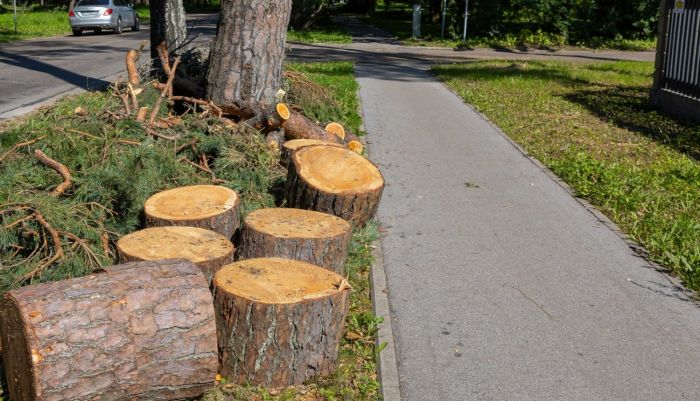 Foto - www.jurmala.lv