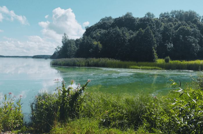 Daugava pie &quot;Vedmeriem&quot;. Foto - kekava.lv