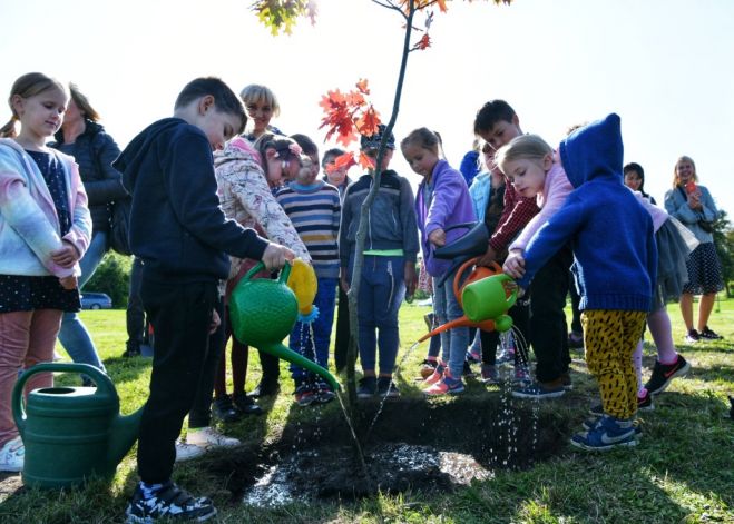 Publicitātes foto