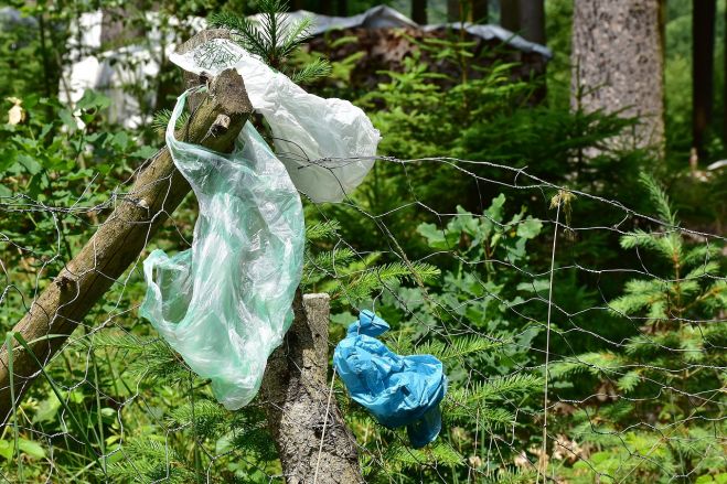 &quot;Lielās talkas&quot; vadītāja: Jaunā simtgade – laiks domāt zaļi