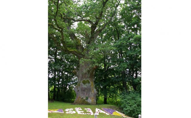 Foto – no Agitas Ozoliņas privātā arhīva