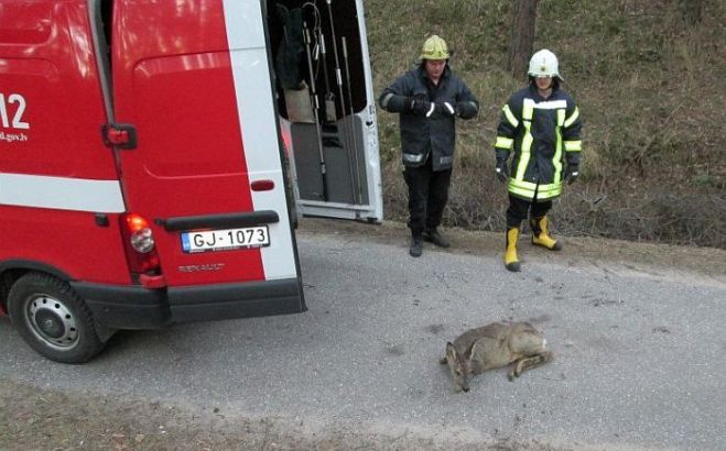 Attēlam ir ilustratīva nozīme. Foto - arhīvs