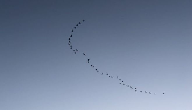 Foto – Kitija Balcare