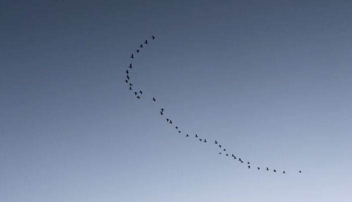Foto – Kitija Balcare