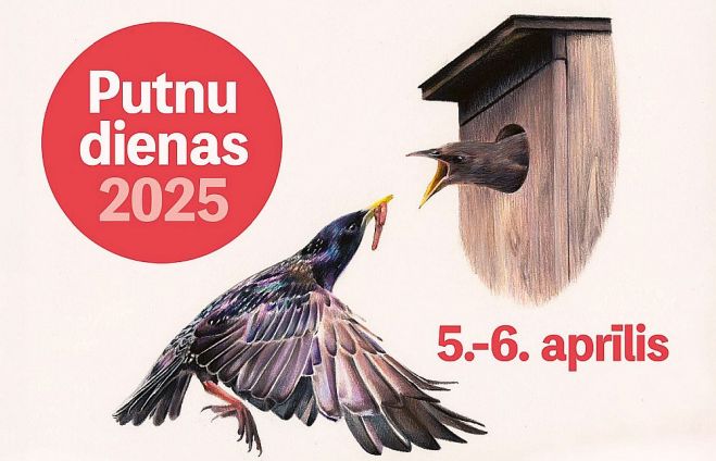 Ilustrācija - putnudienas.lv