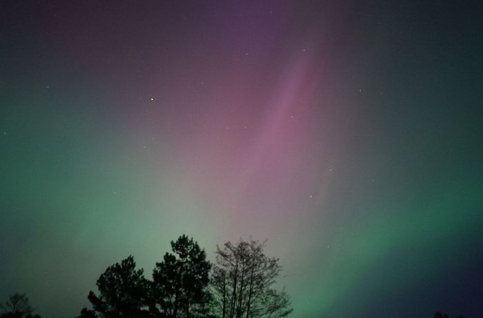 Foto - twitter.com/astrovilks