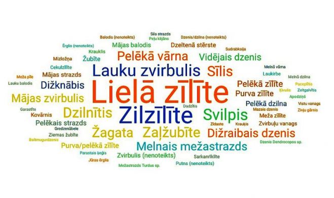 Ilustrācija - publicitātes