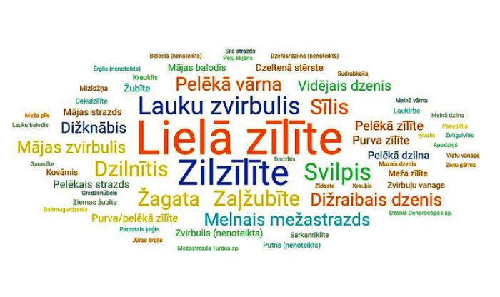 Ilustrācija - publicitātes
