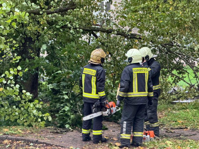 Attēls rakstam: Pirmdien glābēji vairāk nekā 50 reižu steidzās likvidēt vēja postījumus, visbiežāk – Rīgā un Pierīgā
