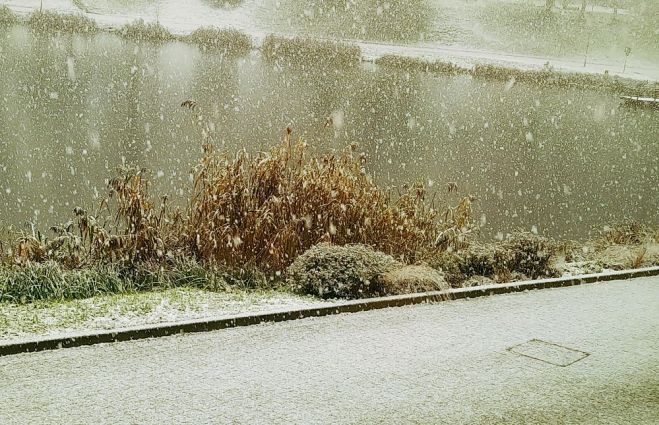 Foto - Liene Ozola un arhīvs