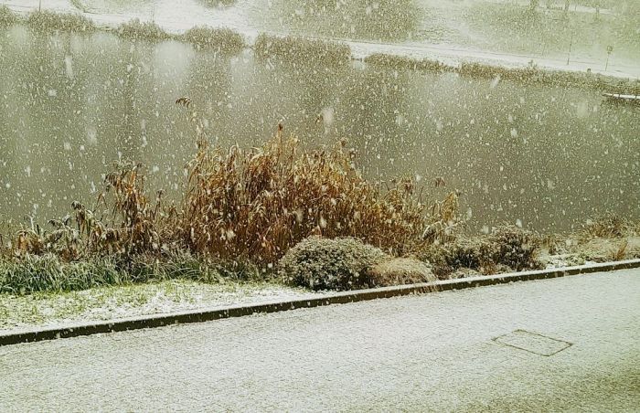 Foto - Liene Ozola un arhīvs