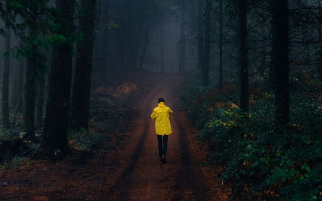 Foto - pexels.com