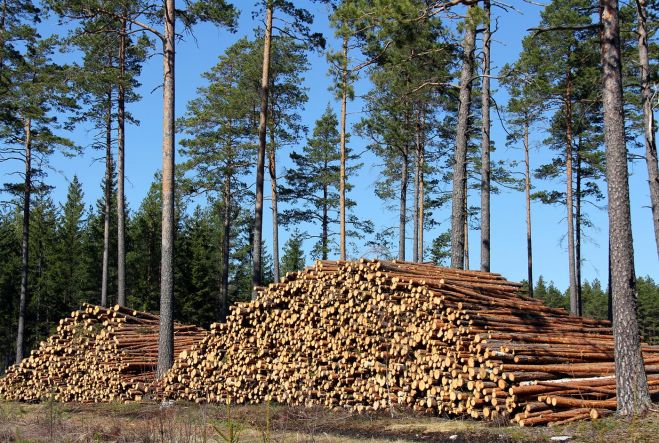 Foto - incukalnstimber.lv