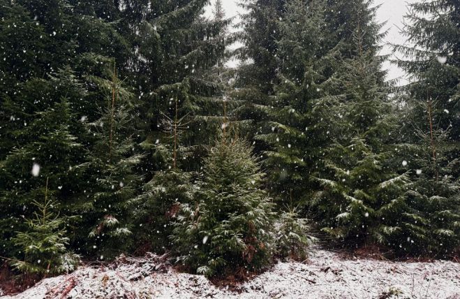 Foto - publicitātes