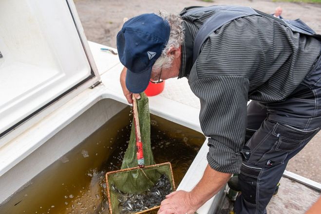 Foto - twitter.com/RigasDome