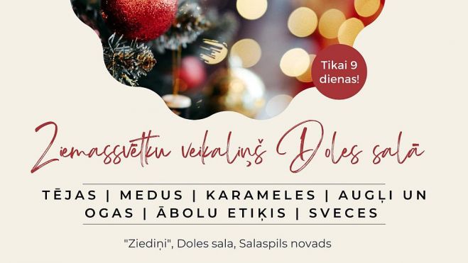 6.-7.XII Ziemassvētku veikaliņš Doles salā