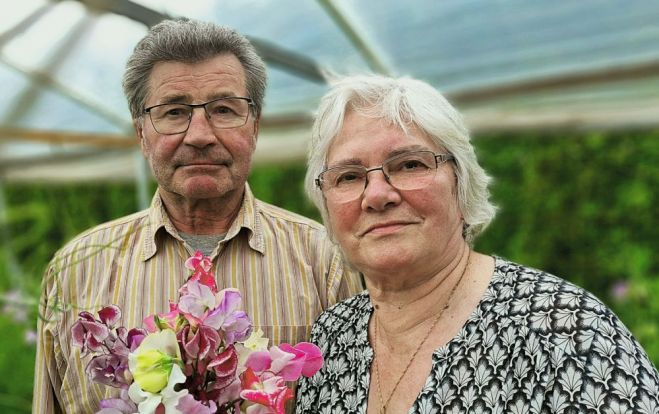 Ar ziedu audzēšanu un tirgošanu Staņislavs un Līvija Menči nodarbojas jau vairāk nekā 50 gadus. Foto - Jānis Pārums un no privātā arhīva