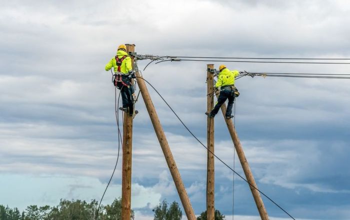 Foto - "Sadales tīkls"