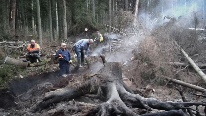 Ķemeru Nacionālajā parkā šovasar likvidētā ugunsgrēka teritorijā joprojām brīžiem gruzd kūdra