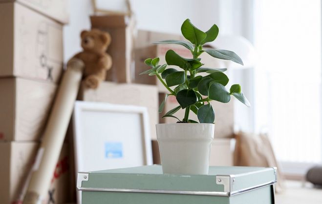 Foto - publicitātes