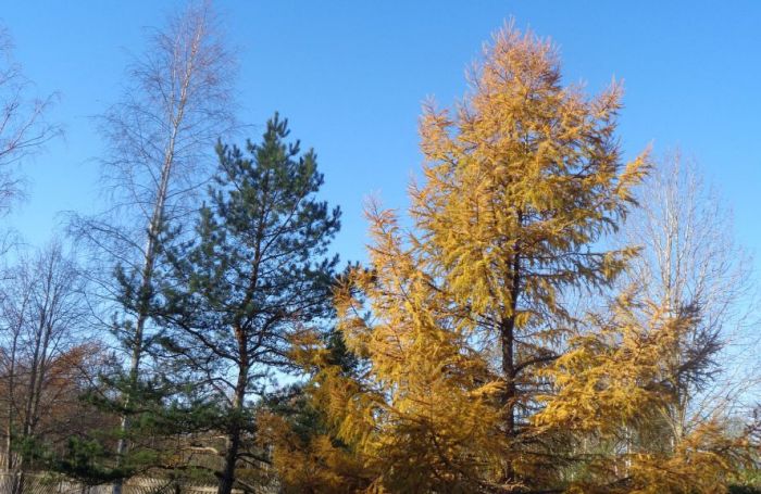 Foto - arhīvs