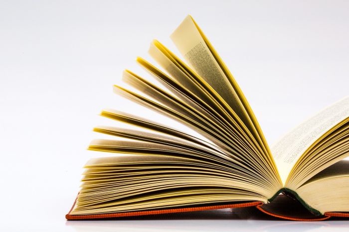 27.XII Tikšanās ar grāmatu draugiem "Ienāc pie mums uz brīsniņu" Olainē