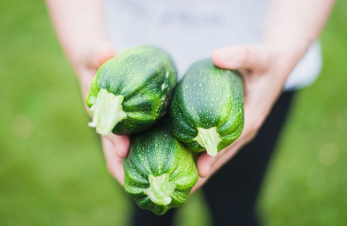Foto - pexels.com