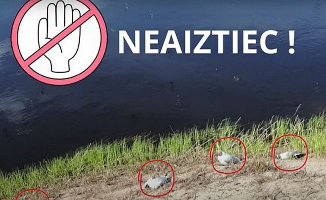 Foto - ekrānuzņēmums no youtube.com