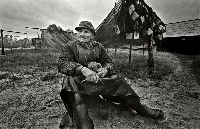 “Jūras vilki” invazīvās sugas neatzīst, bet apaļais jūrasgrundulis tomēr pilda piekrastnieku makus. Foto – Valdis Brauns