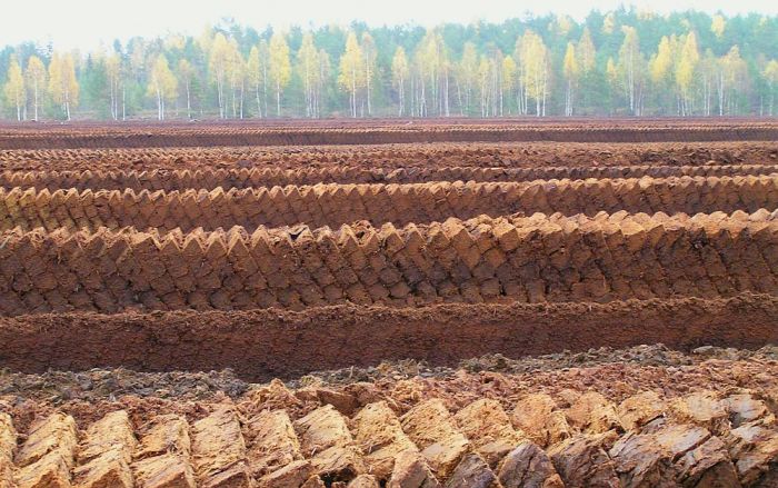 Attēls rakstam: Kūdras ieguve Latvijā – izaicinājumi un perspektīvas