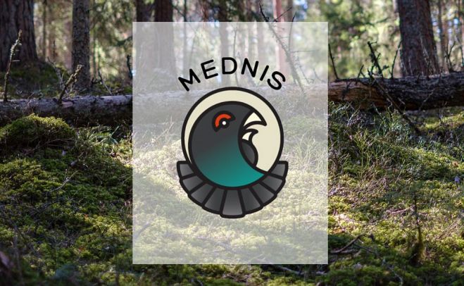 Foto - VMD