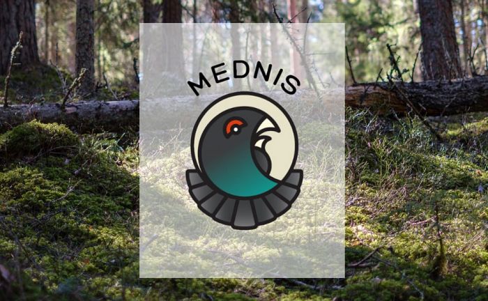 Foto - VMD