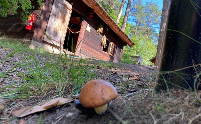 Foto - Jūrmalas Brīvdabas muzejs