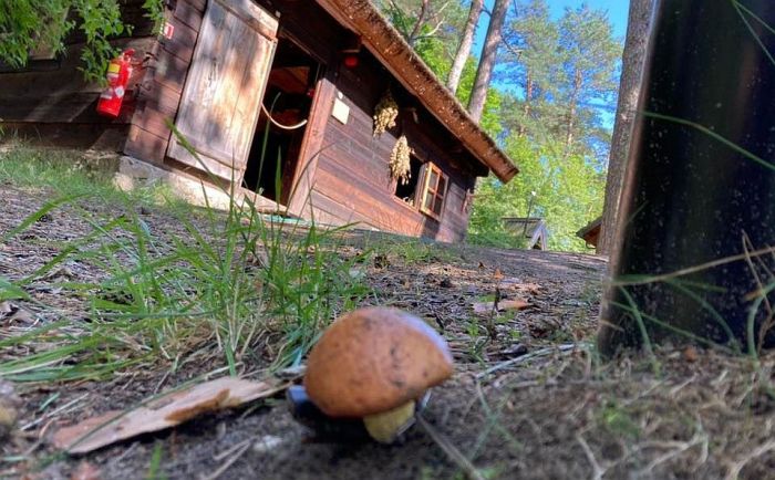 Foto - Jūrmalas Brīvdabas muzejs