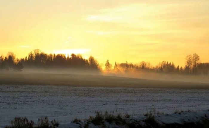 Foto - arhīvs
