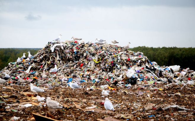 Foto - Nora Krevņeva, riga.lv