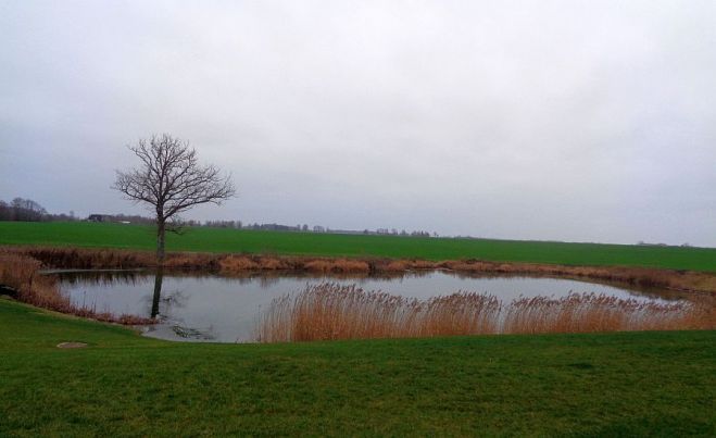 Foto - arhīvs