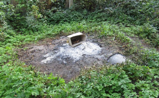 Atkritumu dedzināšana mājas apstākļos noteikti nav videi draudzīgākā prakse. Foto – Arnis Švānfelds