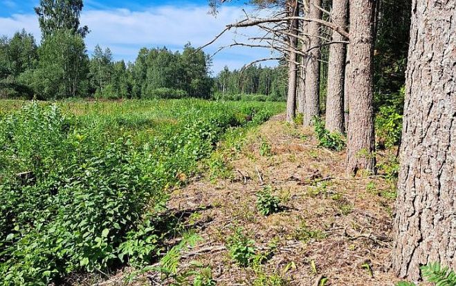 Foto - publicitātes