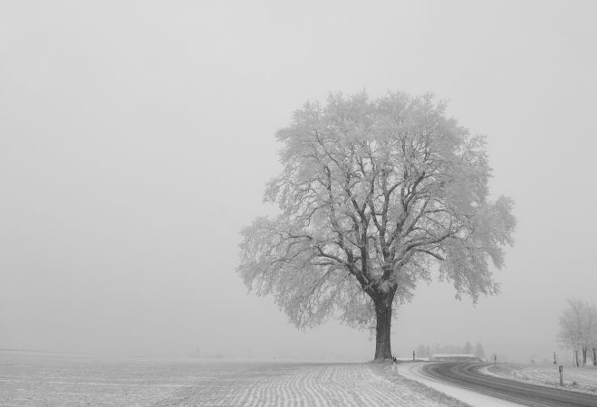 No pirmdienas gaidāms atkusnis un nokrišņi