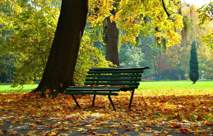 Foto - www.pexels.com un Liene Ozola